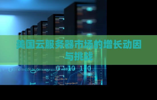 美国云服务器市场的增长动因与挑战 美国云服务器市场的增长动因与挑战