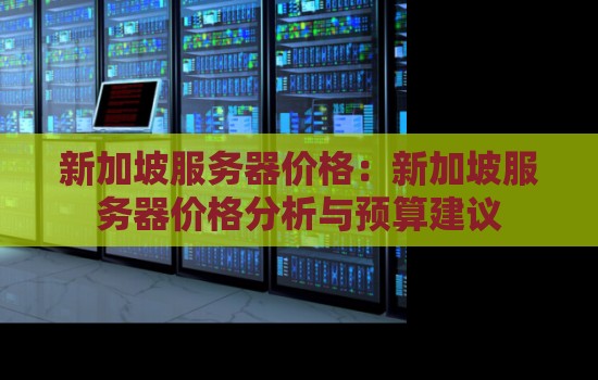 新加坡服务器价格：新加坡服务器价格分析与预算建议