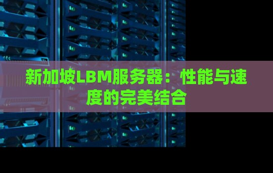 新加坡LBM服务器：性能与速度的完美结合