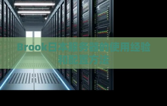 Brook日本服务器的使用经验和配置方法 Brook日本服务器的使用经验和配置方法