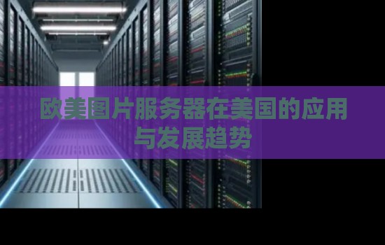欧美图片服务器在美国的应用与发展趋势