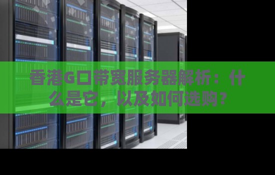 香港G口带宽服务器解析:什么是它,以及如何选购? 香港G口带宽服务器解析:什么是它,以及如何选购?
