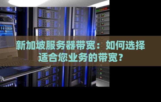 新加坡服务器带宽:如何选择适合您业务的带宽? 新加坡服务器带宽:如何选择适合您业务的带宽?