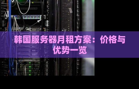 韩国服务器月租方案：价格与优势一览