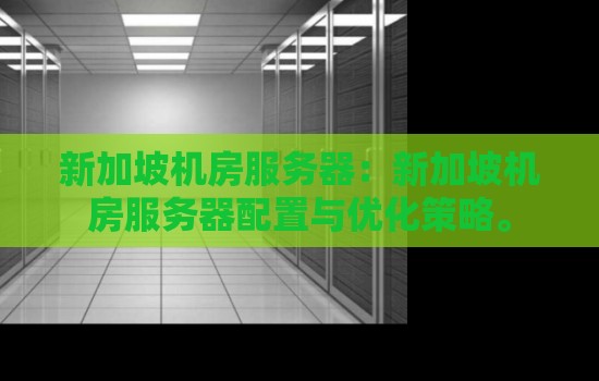 新加坡机房服务器：新加坡机房服务器配置与优化策略。
