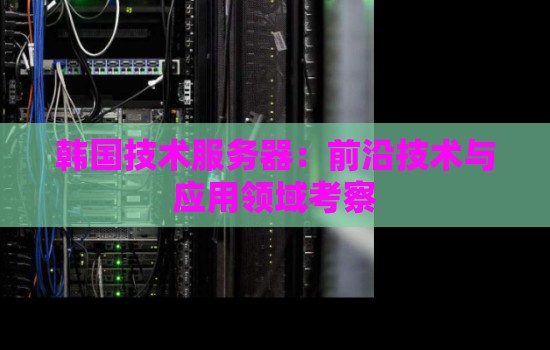 韩国技术服务器：前沿技术与应用领域考察