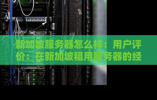 新加坡服务器怎么样：用户评价：在新加坡租用服务器的经验分享。