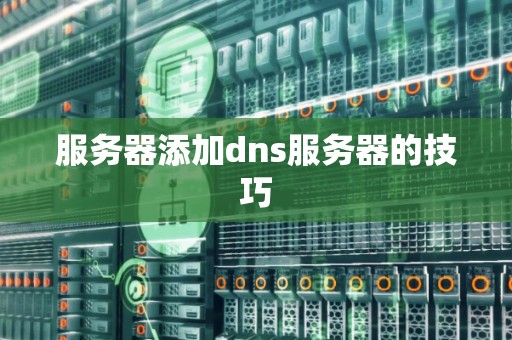 服务器添加dns服务器的技巧