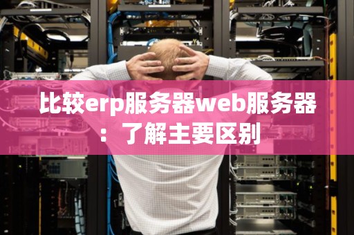 比较erp服务器web服务器:了解主要区别 比较erp服务器web服务器:了解主要区别
