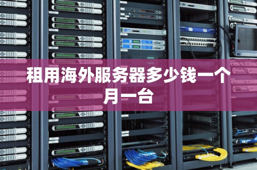 租用海外服务器多少钱一个月一台 租用海外服务器多少钱一个月一台