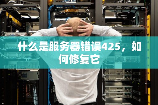 什么是服务器错误425，如何修复它