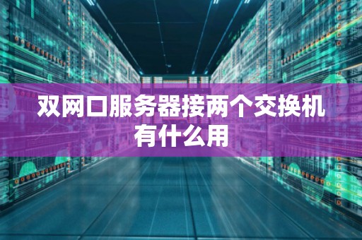 双网口服务器接两个交换机有什么用