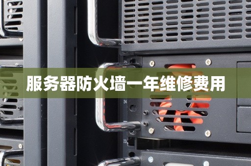 服务器防火墙一年维修费用