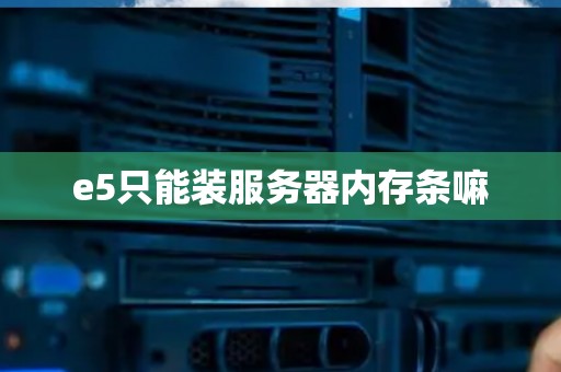 e5只能装服务器内存条嘛