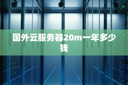 国外云服务器20m一年多少钱 国外云服务器20m一年多少钱