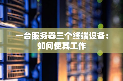 一台服务器三个终端设备：如何使其工作