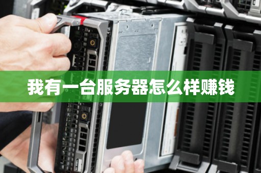 我有一台服务器怎么样赚钱