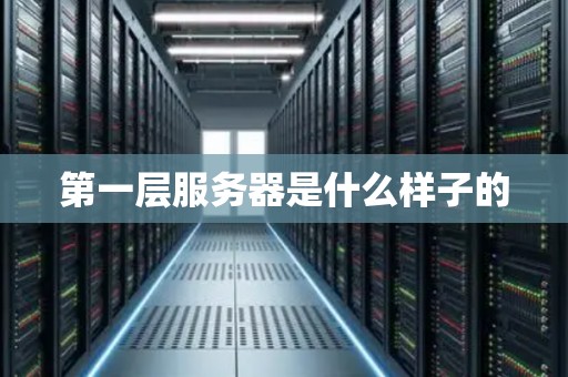 第一层服务器是什么样子的