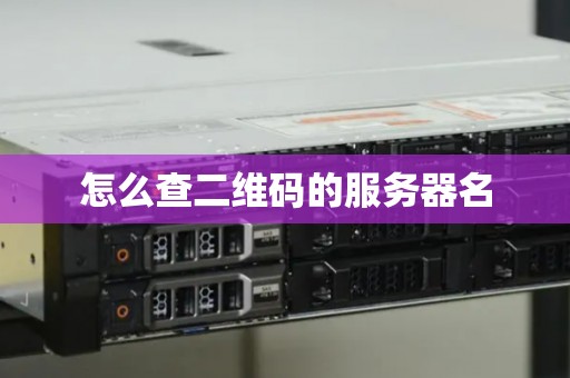 怎么查二维码的服务器名
