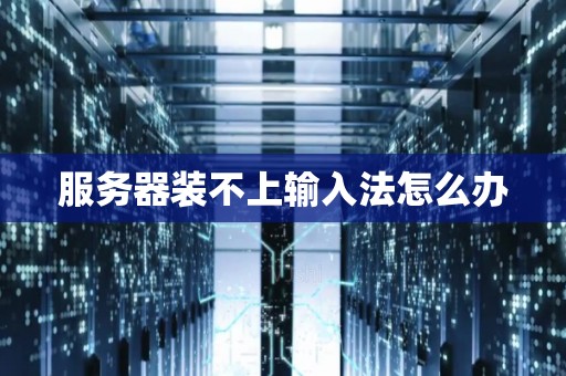 服务器装不上输入法怎么办
