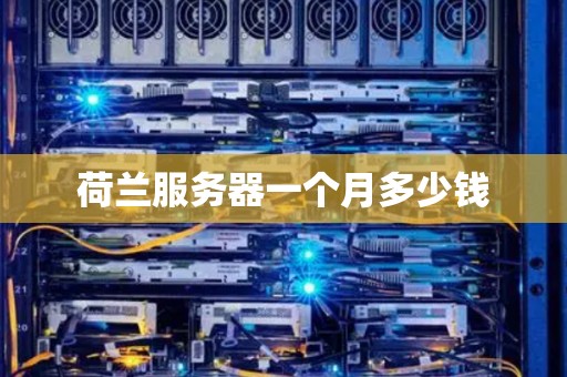 荷兰服务器一个月多少钱