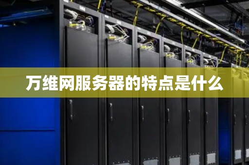万维网服务器的特点是什么
