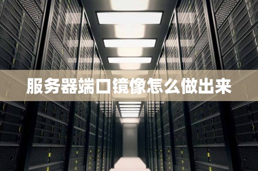 服务器端口镜像怎么做出来