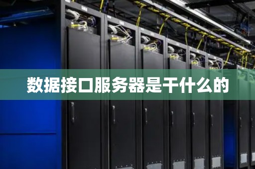 数据接口服务器是干什么的
