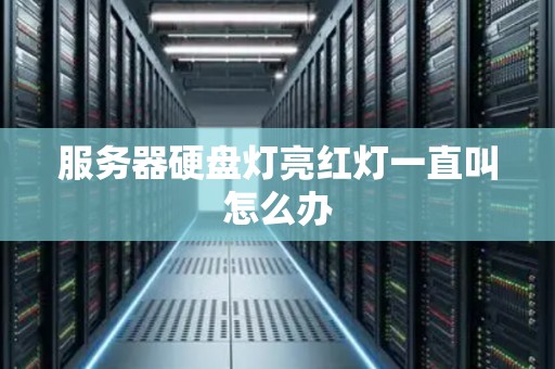 服务器硬盘灯亮红灯一直叫怎么办