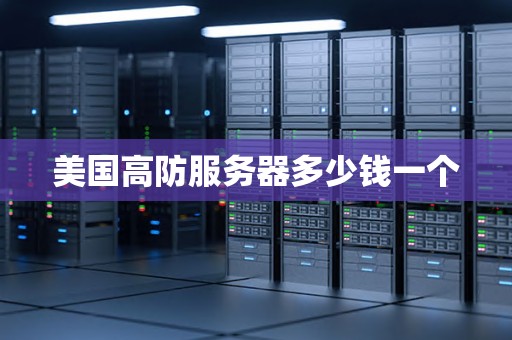 美国高防服务器多少钱一个 美国高防服务器多少钱一个