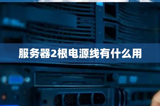 服务器2根电源线有什么用