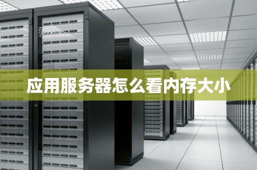 应用服务器怎么看内存大小
