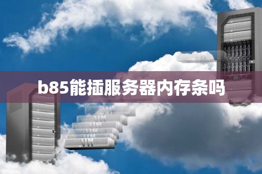 b85能插服务器内存条吗