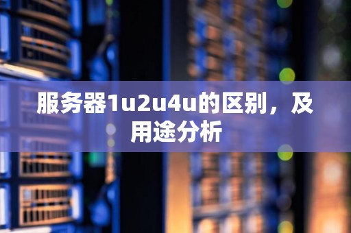 服务器1u2u4u的区别，及用途分析