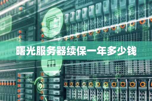 曙光服务器续保一年多少钱