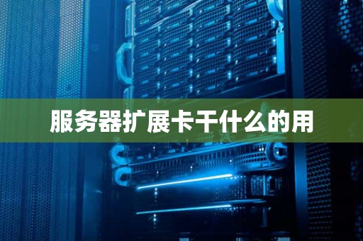 服务器扩展卡干什么的用