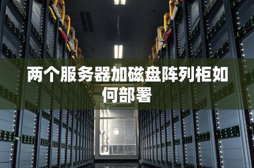 两个服务器加磁盘阵列柜如何部署