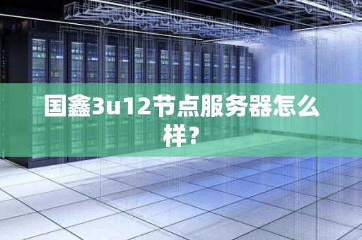 国鑫3u12节点服务器怎么样？