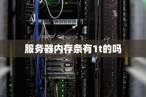服务器内存条有1t的吗