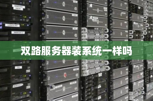 双路服务器装系统一样吗