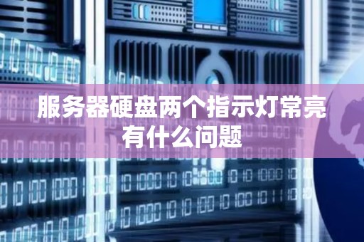 服务器硬盘两个指示灯常亮有什么问题