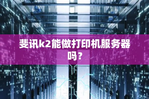 斐讯k2能做打印机服务器吗？