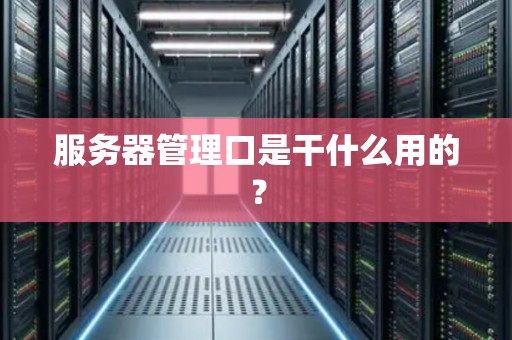 服务器管理口是干什么用的？