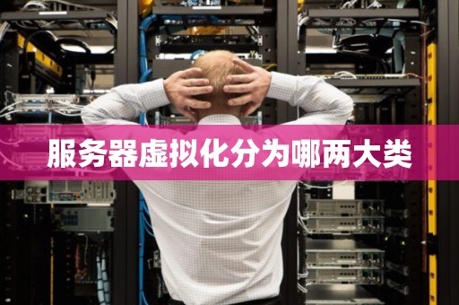 服务器虚拟化分为哪两大类