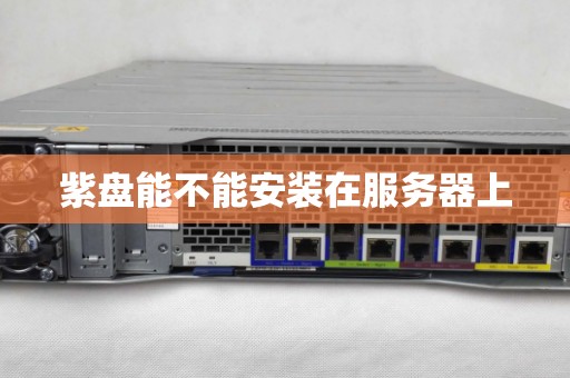 紫盘能不能安装在服务器上