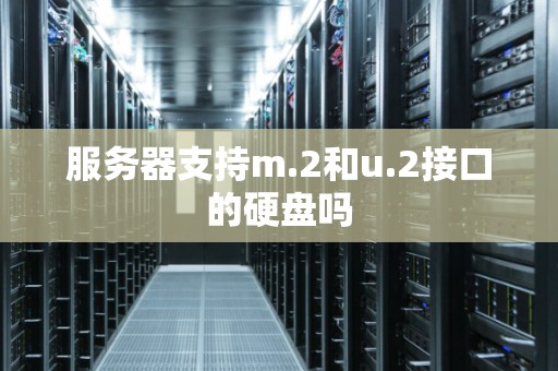 服务器支持m.2和u.2接口的硬盘吗
