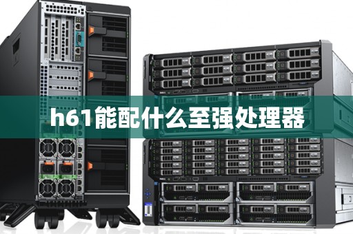 h61能配什么至强处理器