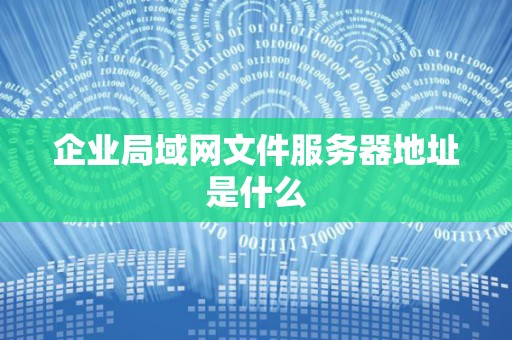 企业局域网文件服务器地址是什么