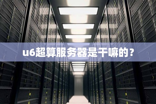 u6超算服务器是干嘛的？