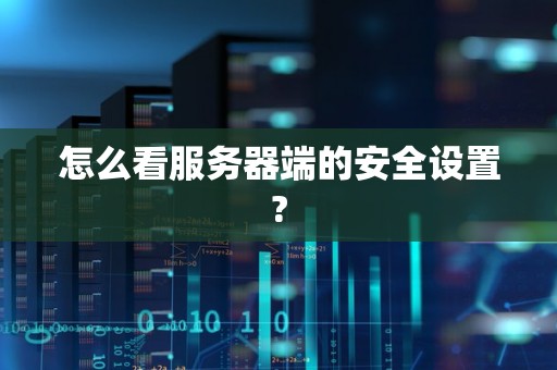 怎么看服务器端的安全设置?